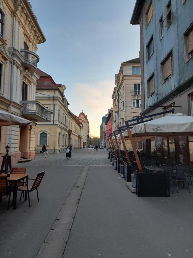 Appartamento Piata Unirii- 1 Timisoara
